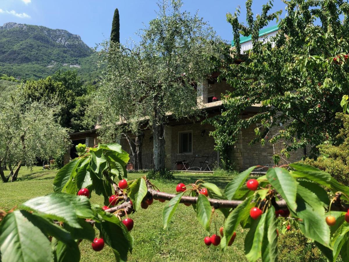 Bed and Breakfast La Cascata Negli Ulivi Toscolano-Maderno Exterior foto