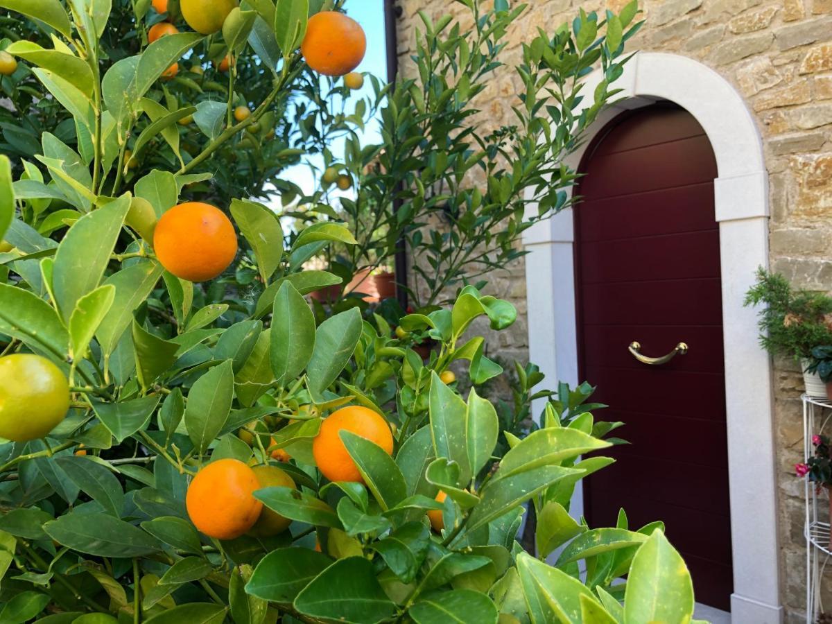 Bed and Breakfast La Cascata Negli Ulivi Toscolano-Maderno Exterior foto